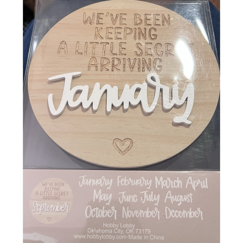 Baby Announcement Sign Keeping a Secret Wood 6.5" Diameter With All 12 Months!